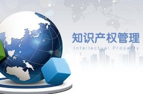 構(gòu)建知識產(chǎn)權(quán)管理與服務(wù)體系的關(guān)鍵路徑與價(jià)值體現(xiàn)